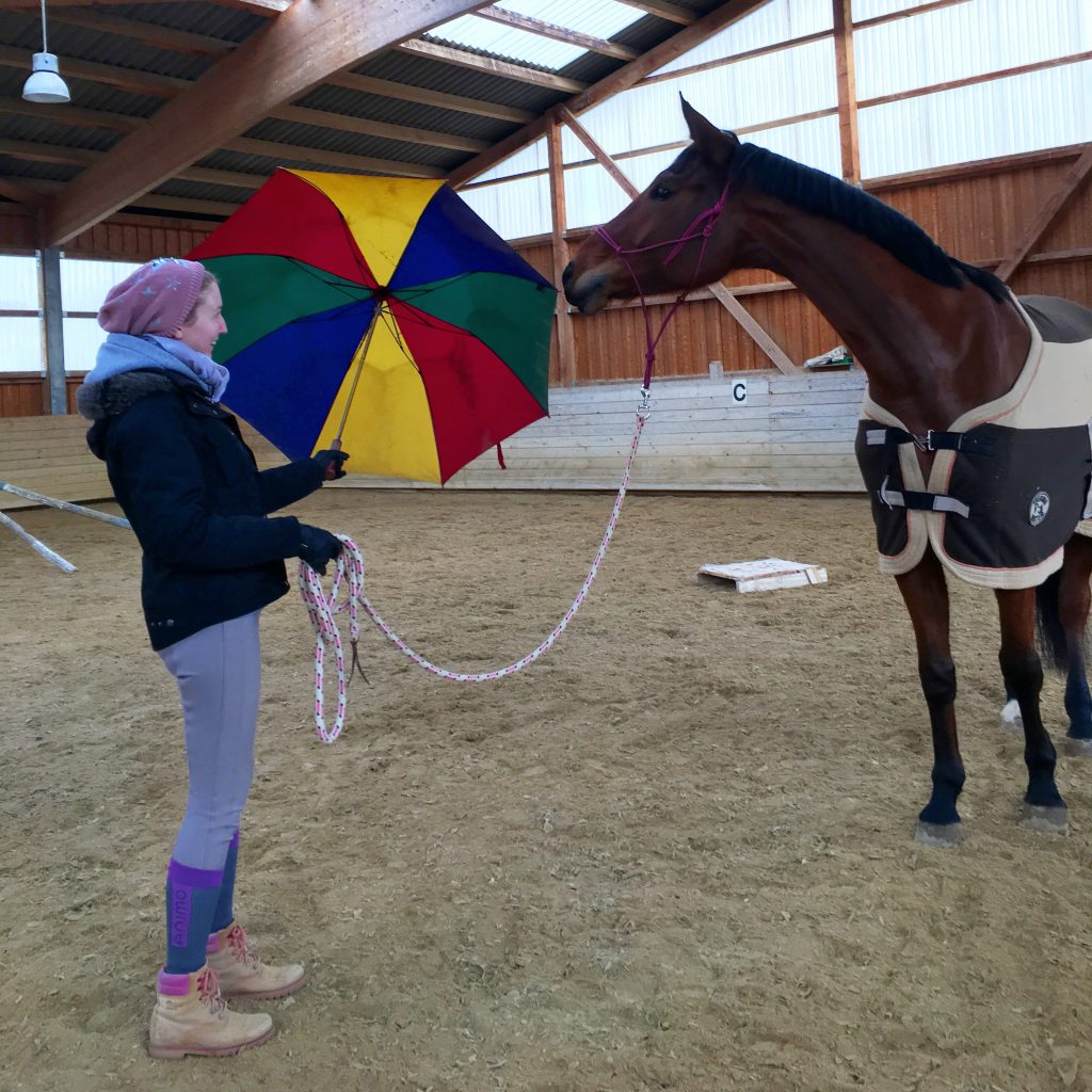 Schreckhaftes Pferd mit Regenschirm